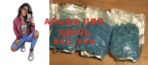 дмт Алзамай