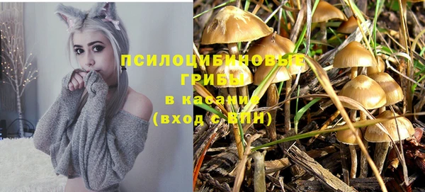кокс Алексин